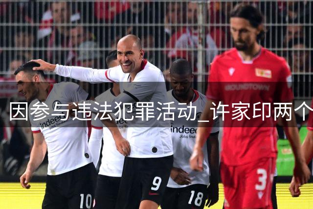 因参与违法犯罪活动 许家印两个儿子一审被判有期徒刑