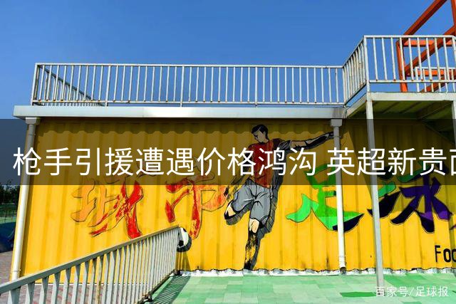 枪手引援遭遇价格鸿沟 英超新贵面临战术适配难题