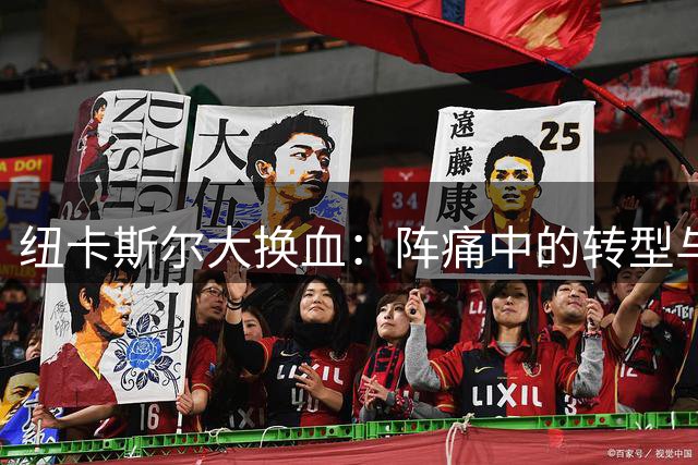 纽卡斯尔大换血：阵痛中的转型与重生之路